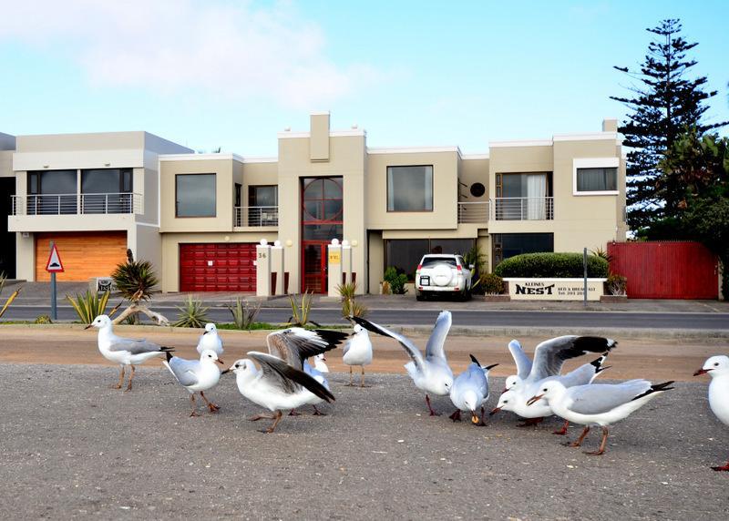 Kleines Nest Bed And Breakfast Walvis Bay Exterior foto